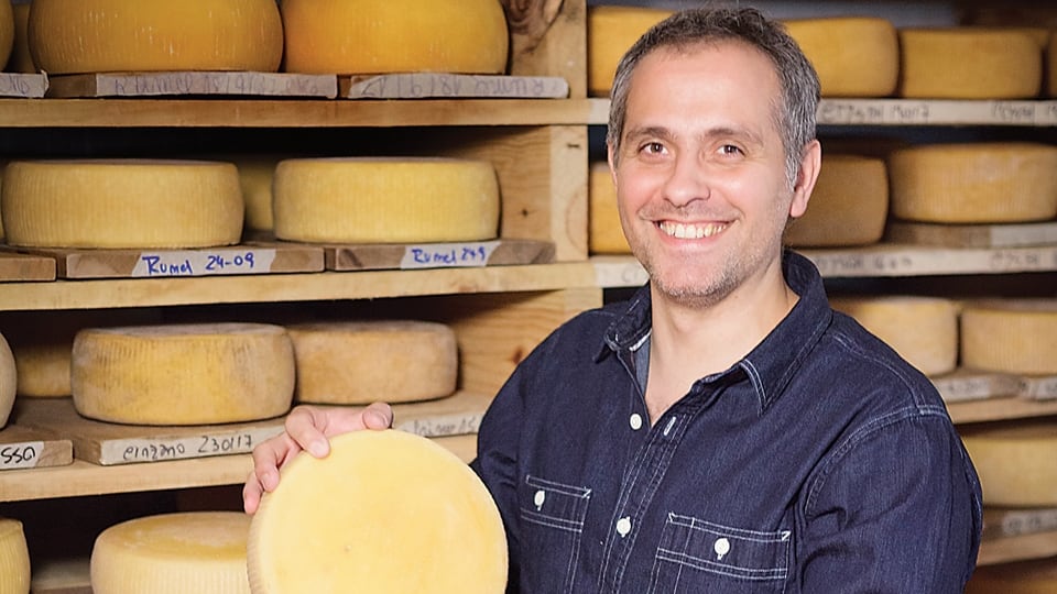 Imagen: El queso patagónico que venció a Europa dos veces y en noviembre va por más en España