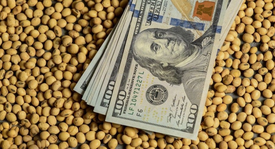 Imagen: La soja retenida vale hasta USD 3.000 millones extra: la apuesta que puede cambiar el segundo semestre