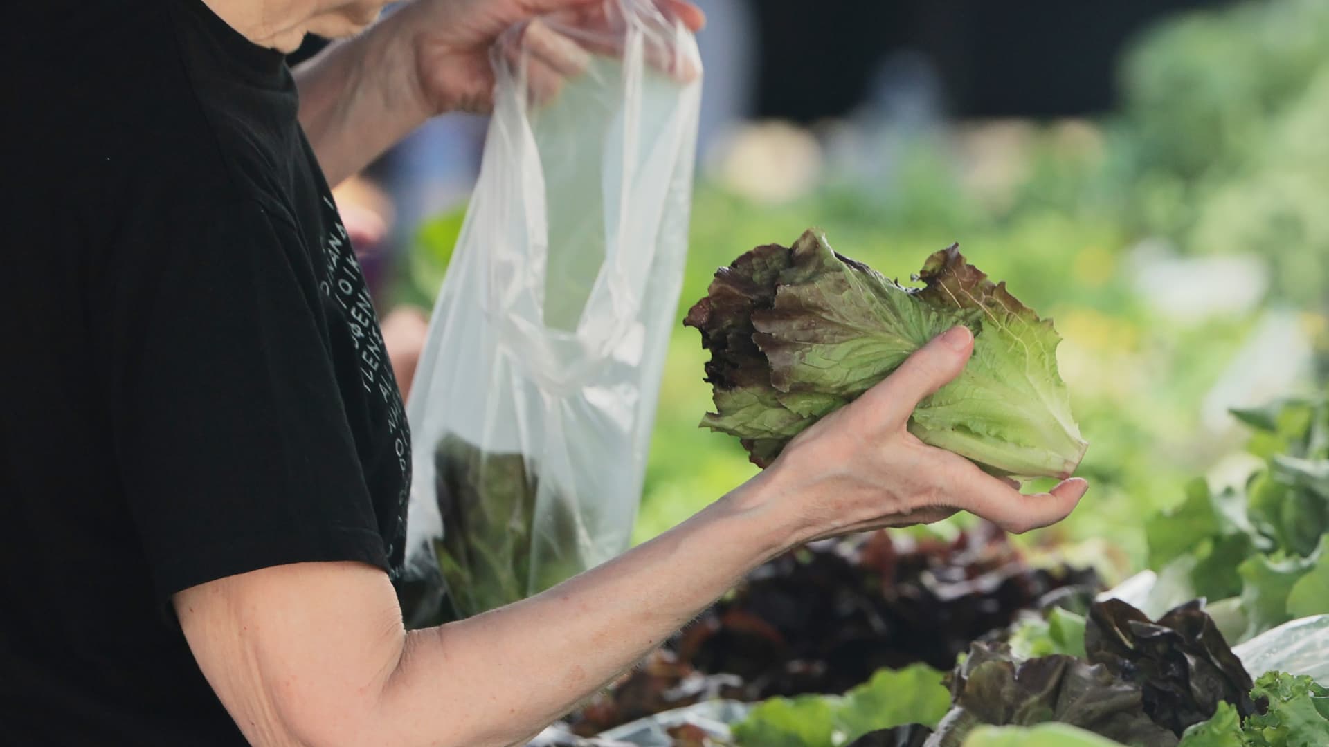 Imagen: El brote de ciclospora derrumbó ventas de ensaladas hasta 24% y llevó a una cadena a la quiebra