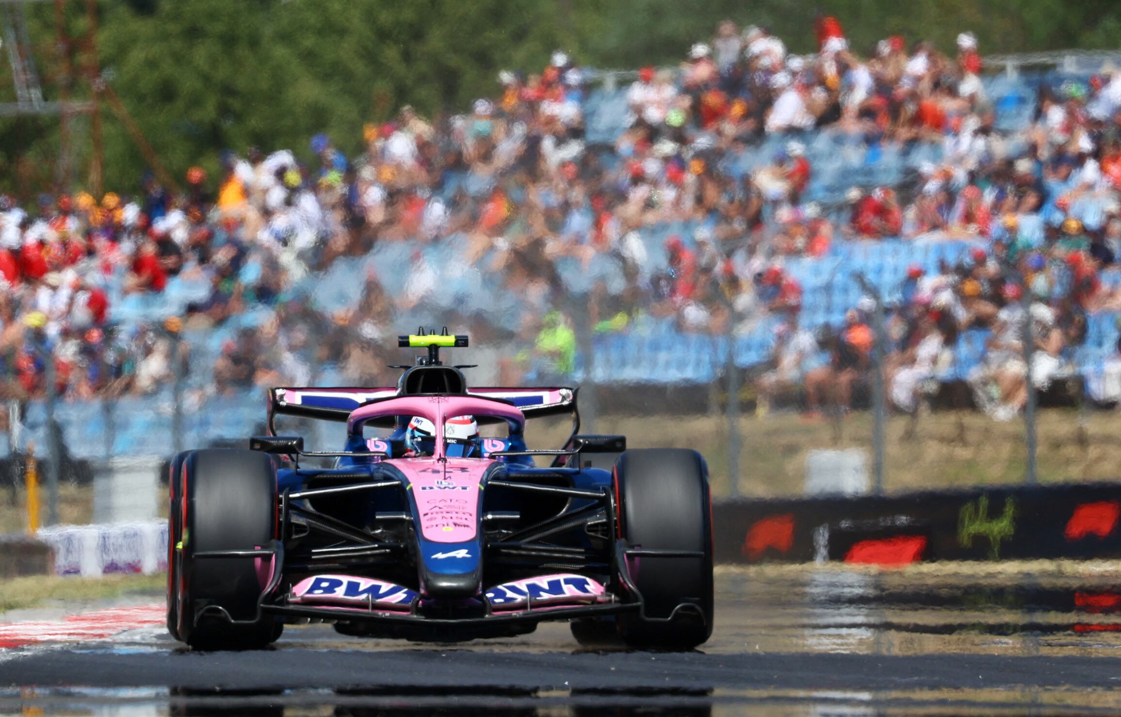 Imagen: Colapinto arranca 13° en Hungría: el desafío de remontar en el circuito más técnico del calendario