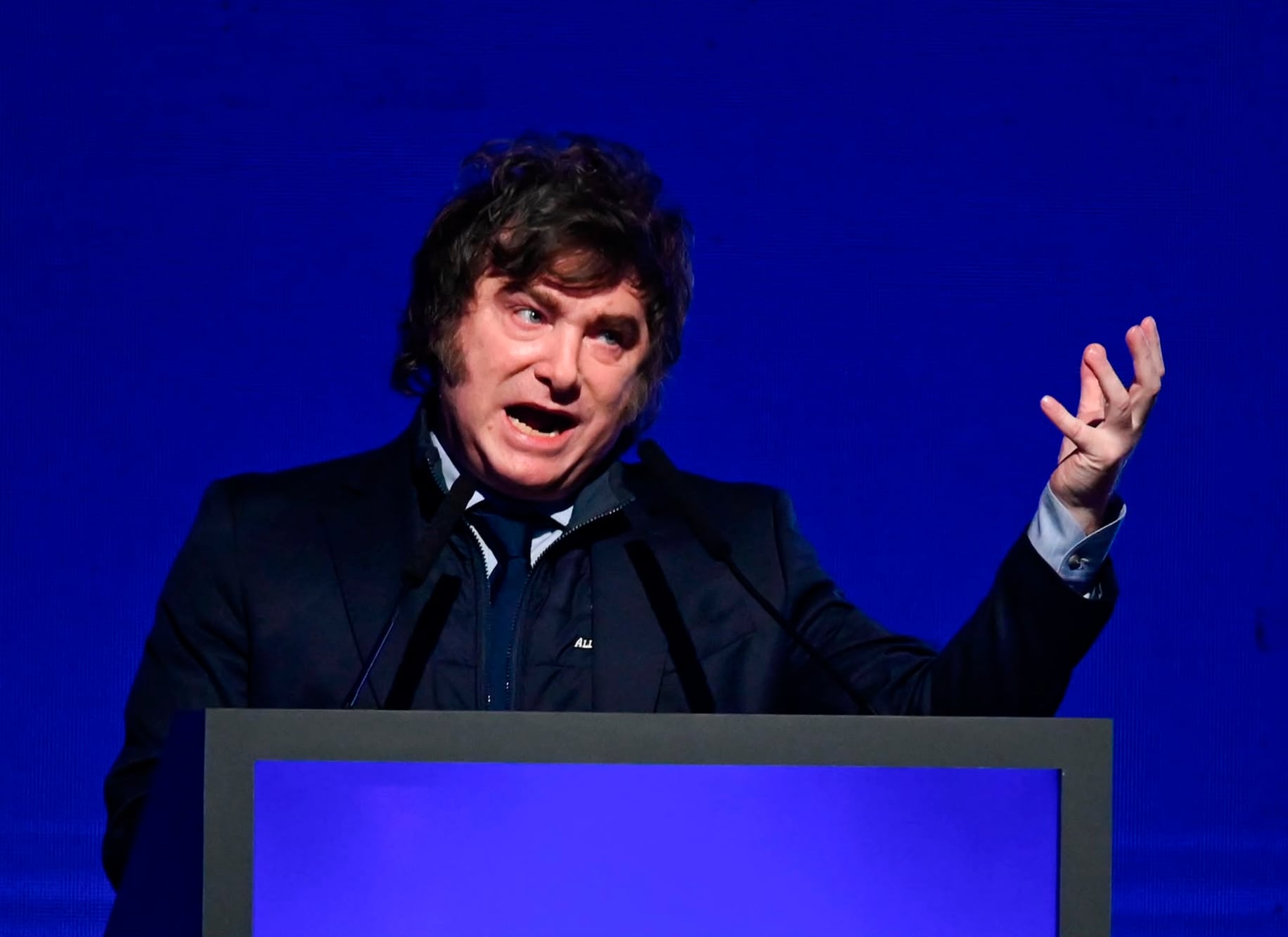 Milei llamó "matices de opinión" a la interna con Bullrich y acusó a los medios de mentir