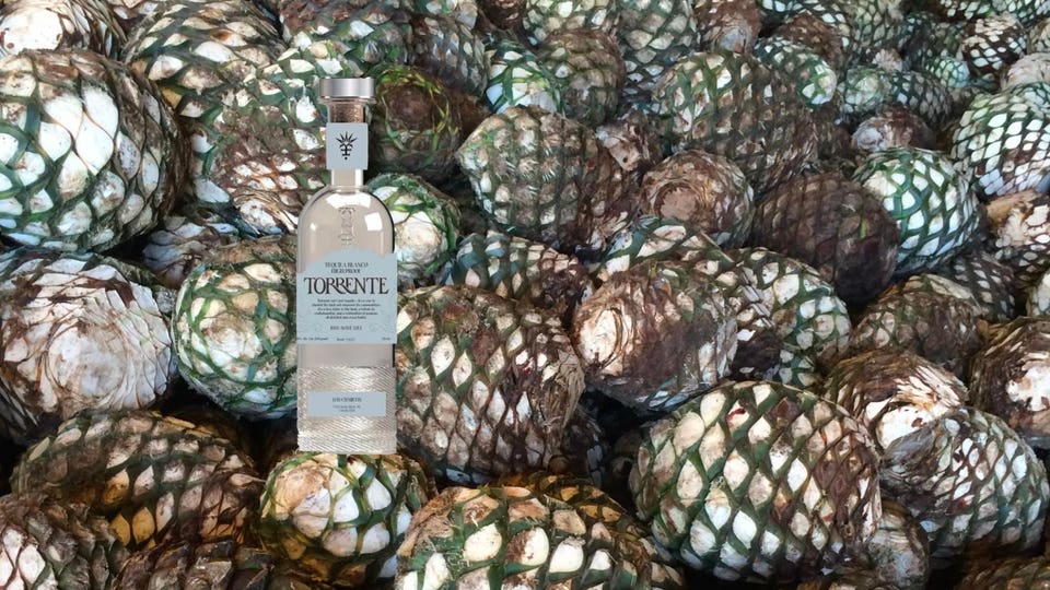 Imagen: El tequila regenerativo que ganó el mejor del mundo cuesta $100 y redefine la industria